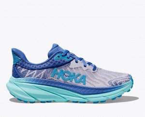 Blue / Grey Women's HOKA Challenger 7 Trail Running Shoes | YBH983214