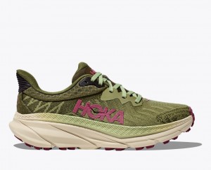 Olive Green Women's HOKA Challenger 7 Trail Running Shoes | IAS352047