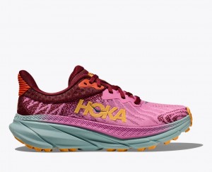 Pink / Dark Red Women's HOKA Challenger 7 Trail Running Shoes | VTC971034