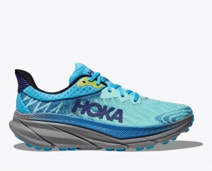 Turquoise / Blue Men's HOKA Challenger 7 Trail Running Shoes | OLR290835