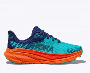 Turquoise / Navy Women's HOKA Challenger 7 Trail Running Shoes | XEB890153