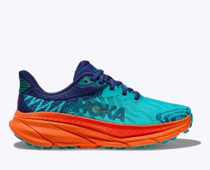 Turquoise / Orange Men's HOKA Challenger 7 Trail Running Shoes | NTX367510